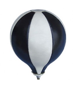 Punching Ball
